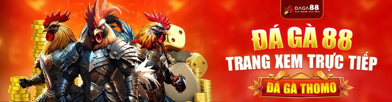 Đội ngũ hỗ trợ khách hàng chuyên nghiệp của vn222